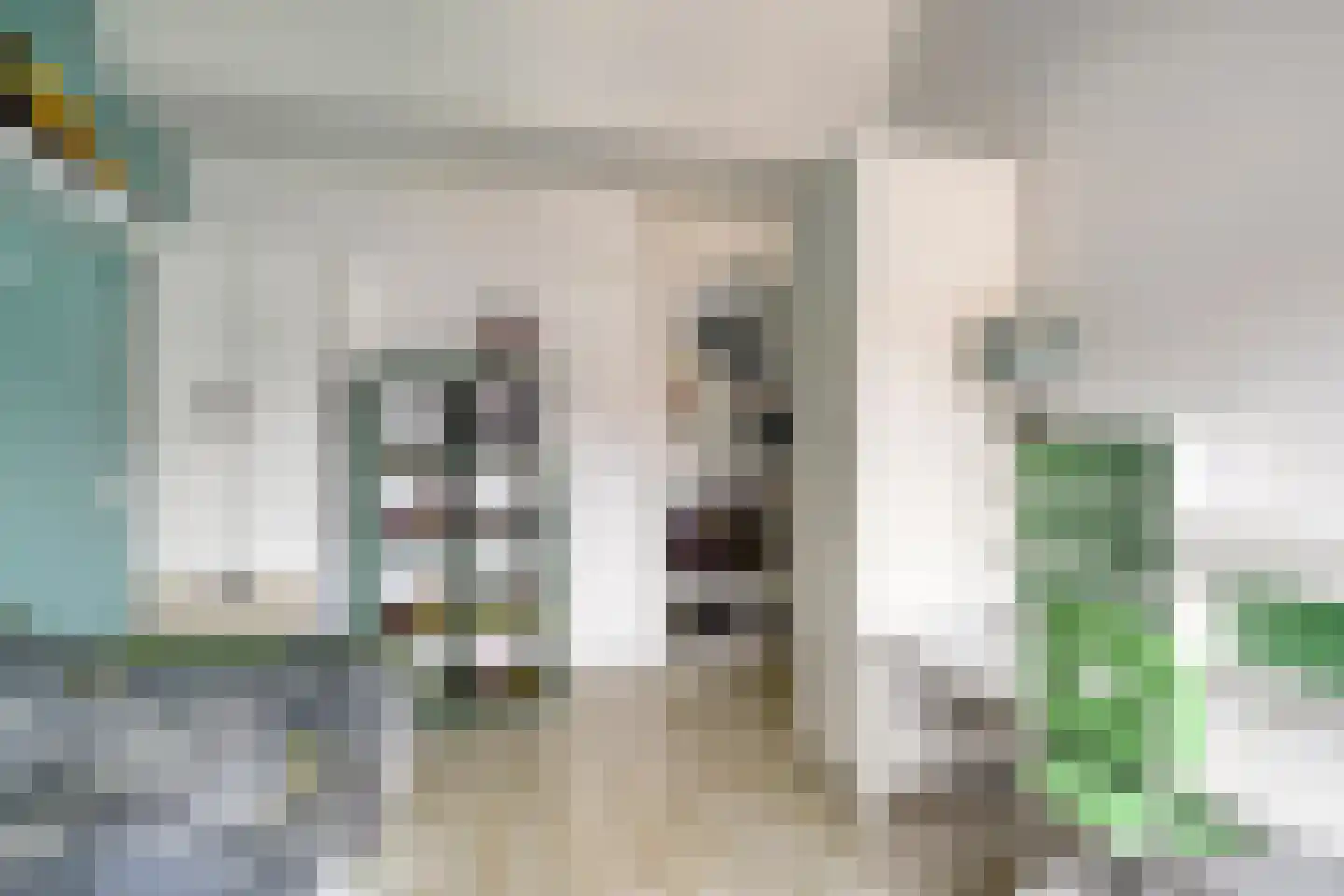 de Blankvoorn 5 Bergschenhoek thumbnail 23