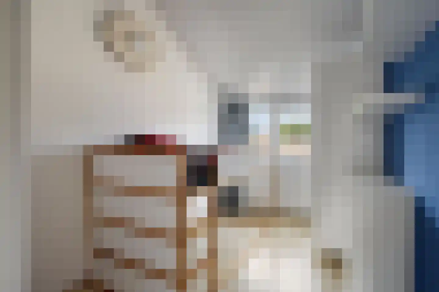 de Blankvoorn 5 Bergschenhoek thumbnail 24