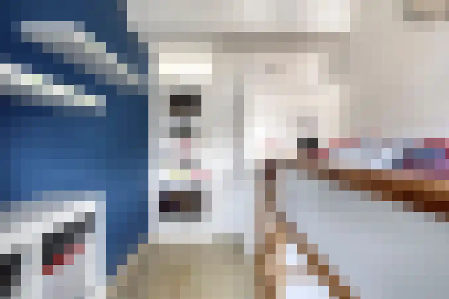 de Blankvoorn 5 Bergschenhoek thumbnail 25
