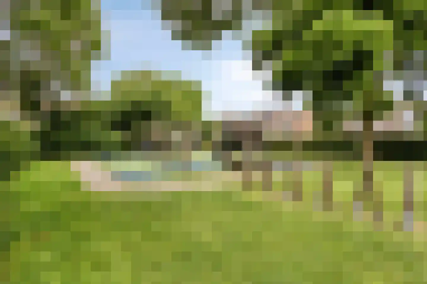 de Blankvoorn 5 Bergschenhoek thumbnail 33