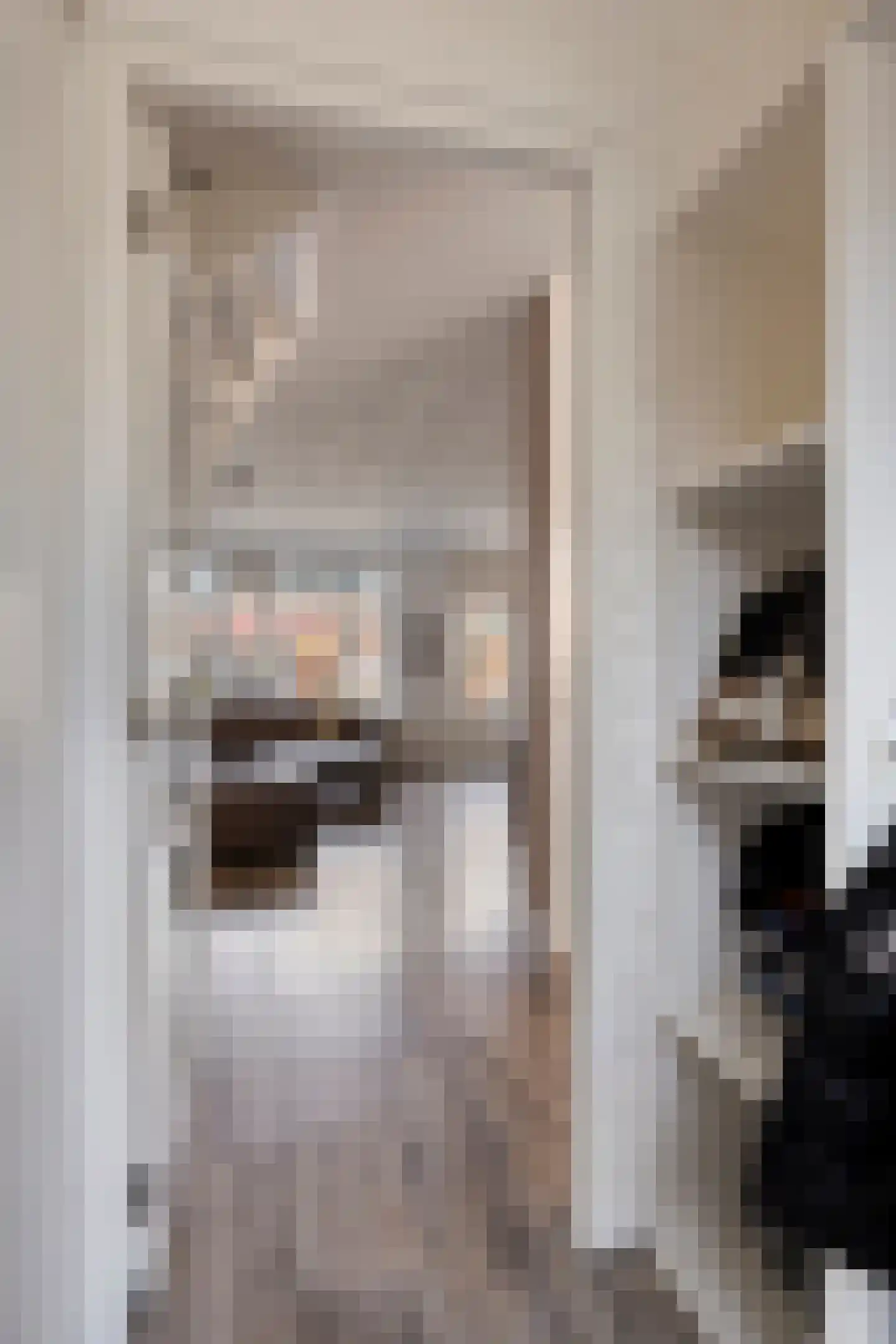 de Blankvoorn 5 Bergschenhoek thumbnail 8