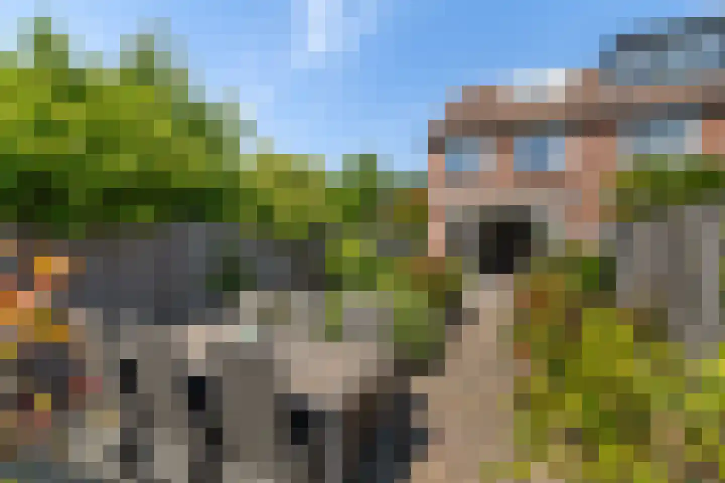 De blauwe Alicante 1 Wateringen thumbnail 17