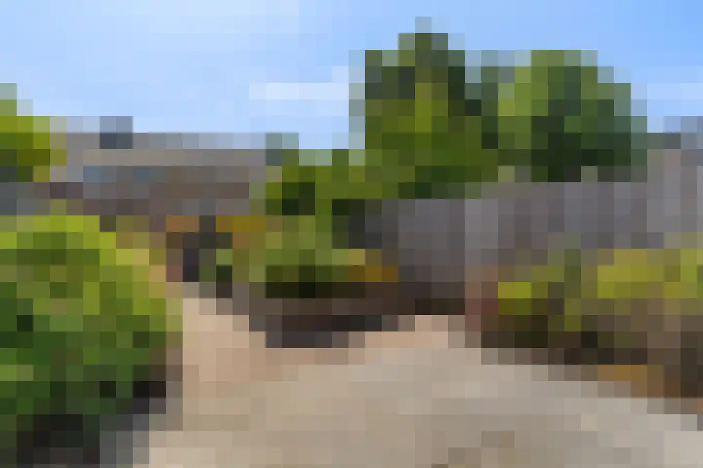 De blauwe Alicante 1 Wateringen thumbnail 19