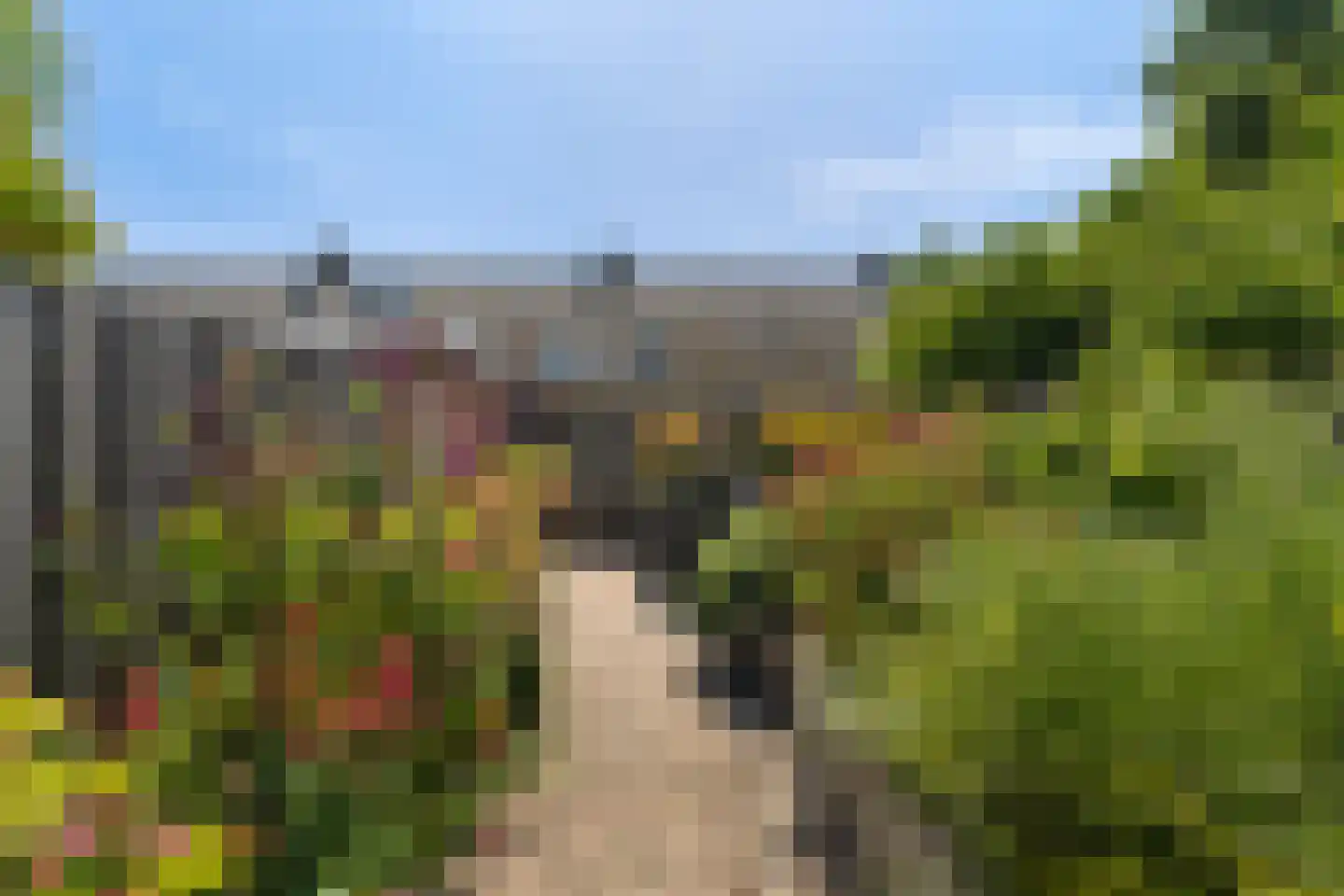 De blauwe Alicante 1 Wateringen thumbnail 20