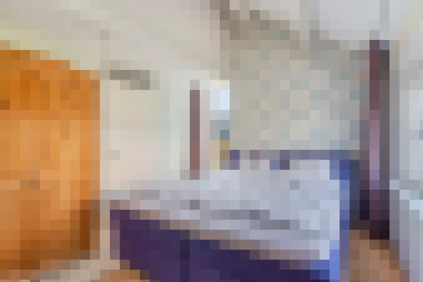 De blauwe Alicante 1 Wateringen thumbnail 28