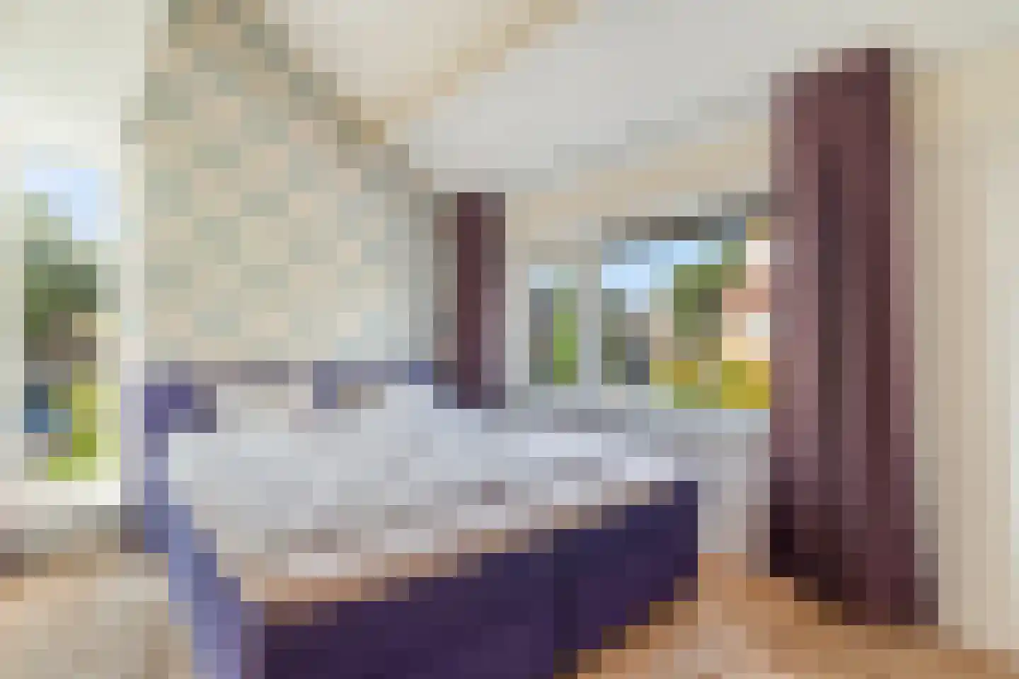 De blauwe Alicante 1 Wateringen thumbnail 29