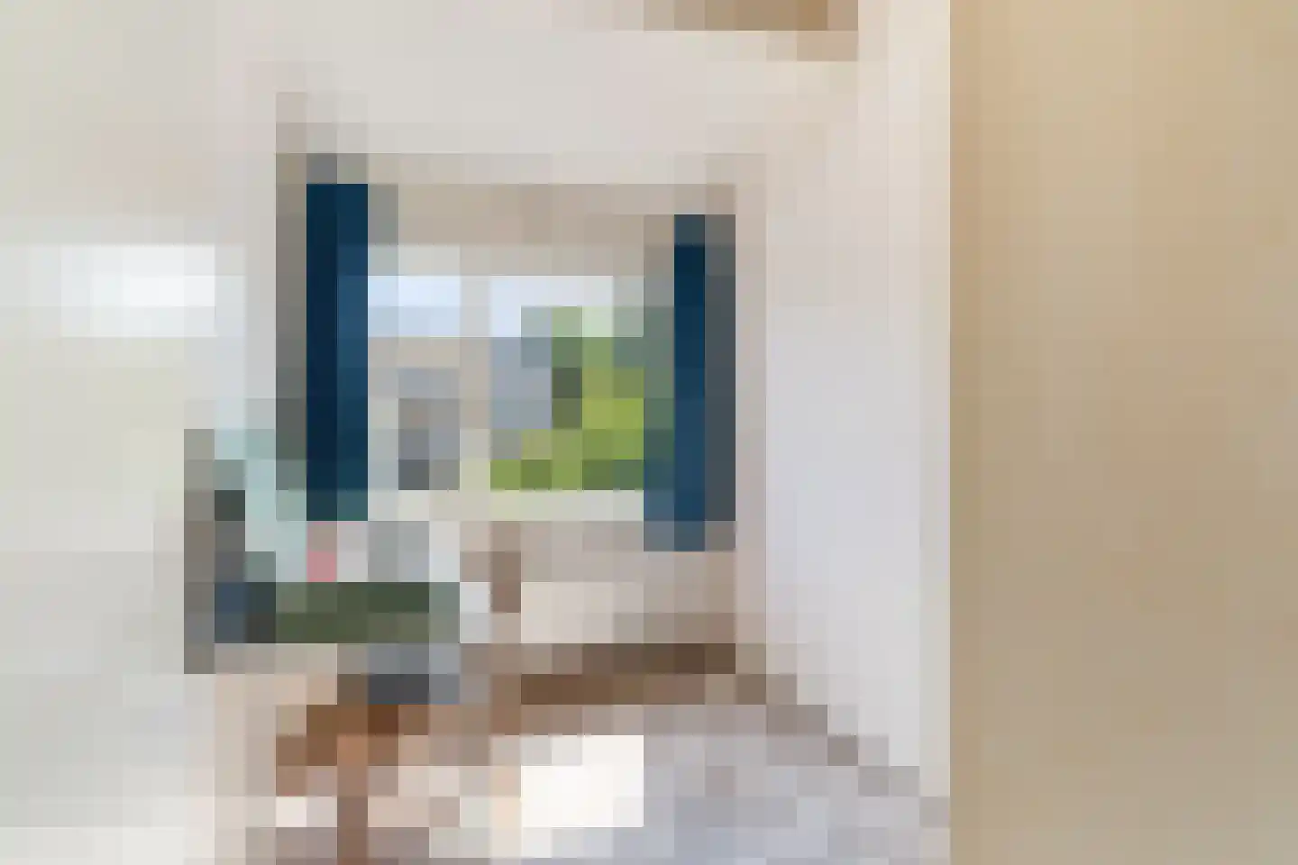 De blauwe Alicante 1 Wateringen thumbnail 30