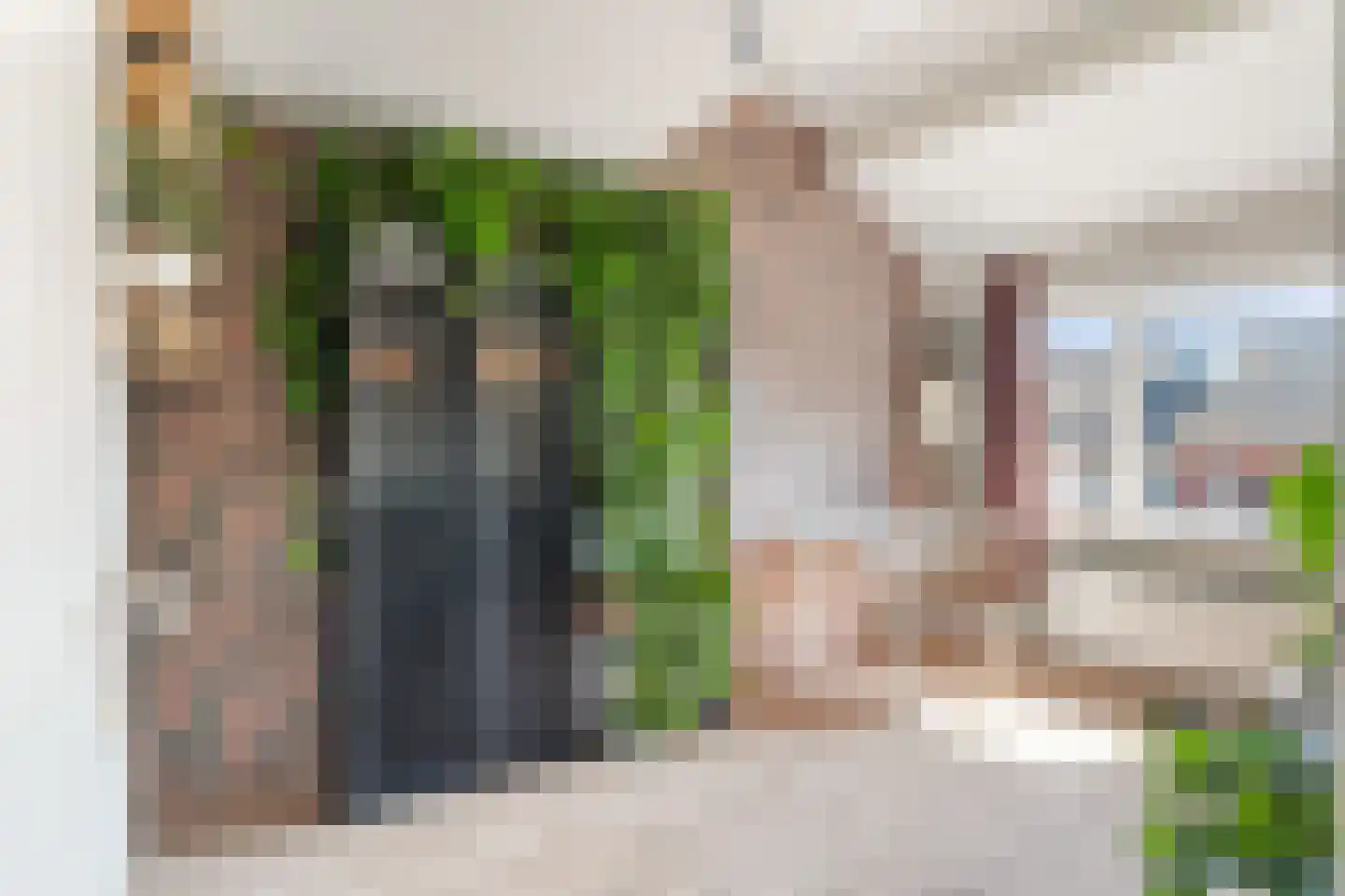De blauwe Alicante 1 Wateringen thumbnail 32
