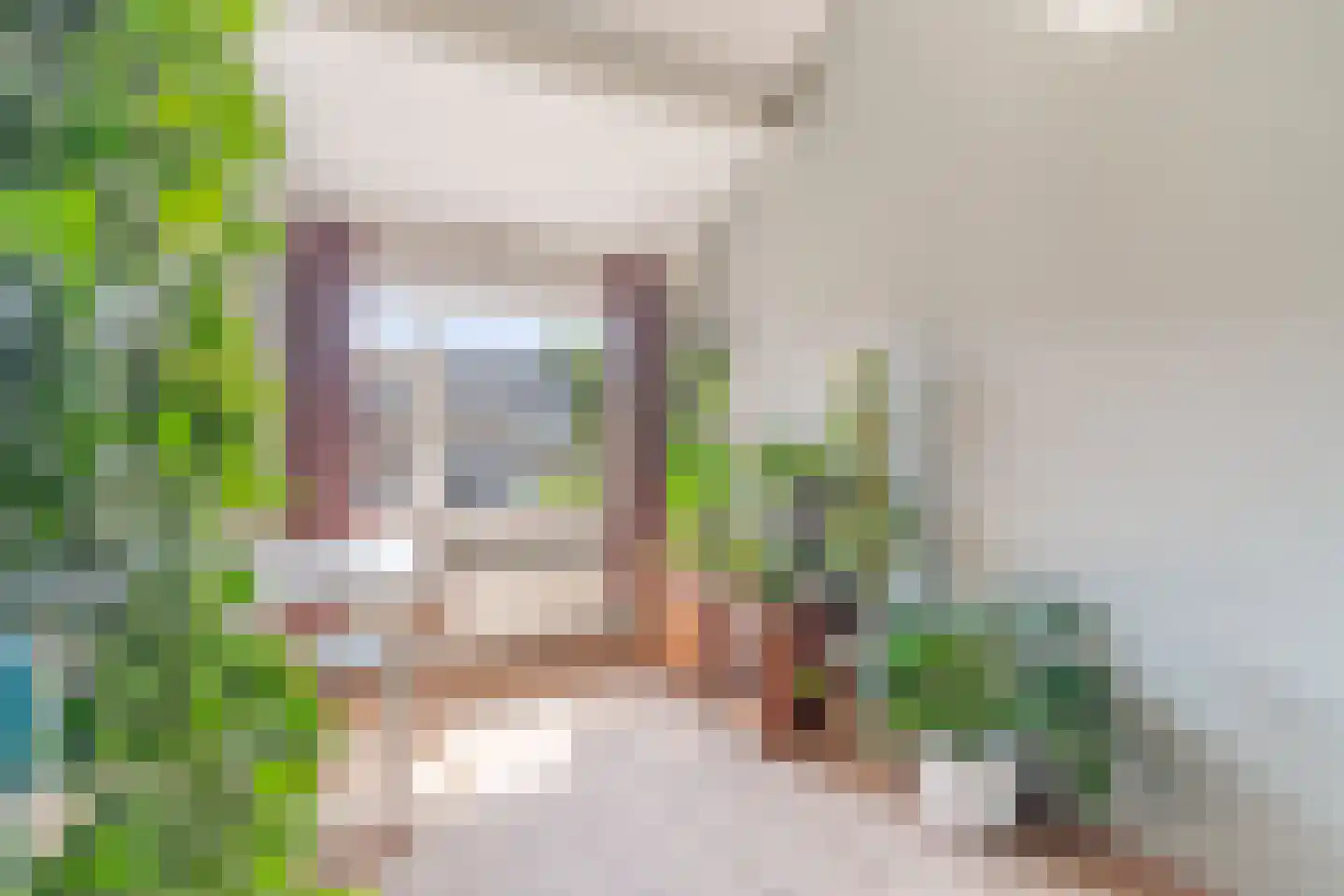 De blauwe Alicante 1 Wateringen thumbnail 33