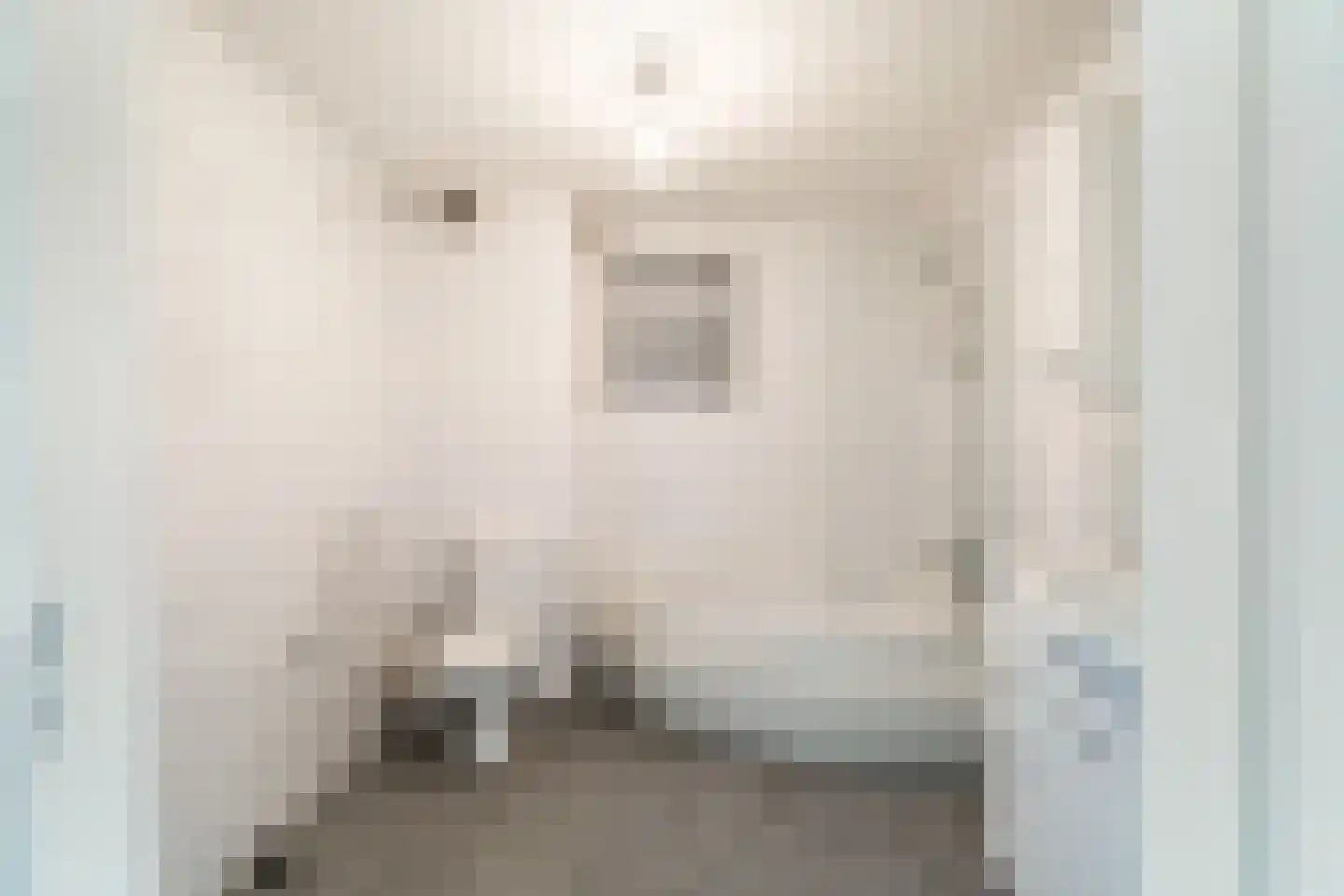 De blauwe Alicante 1 Wateringen thumbnail 35