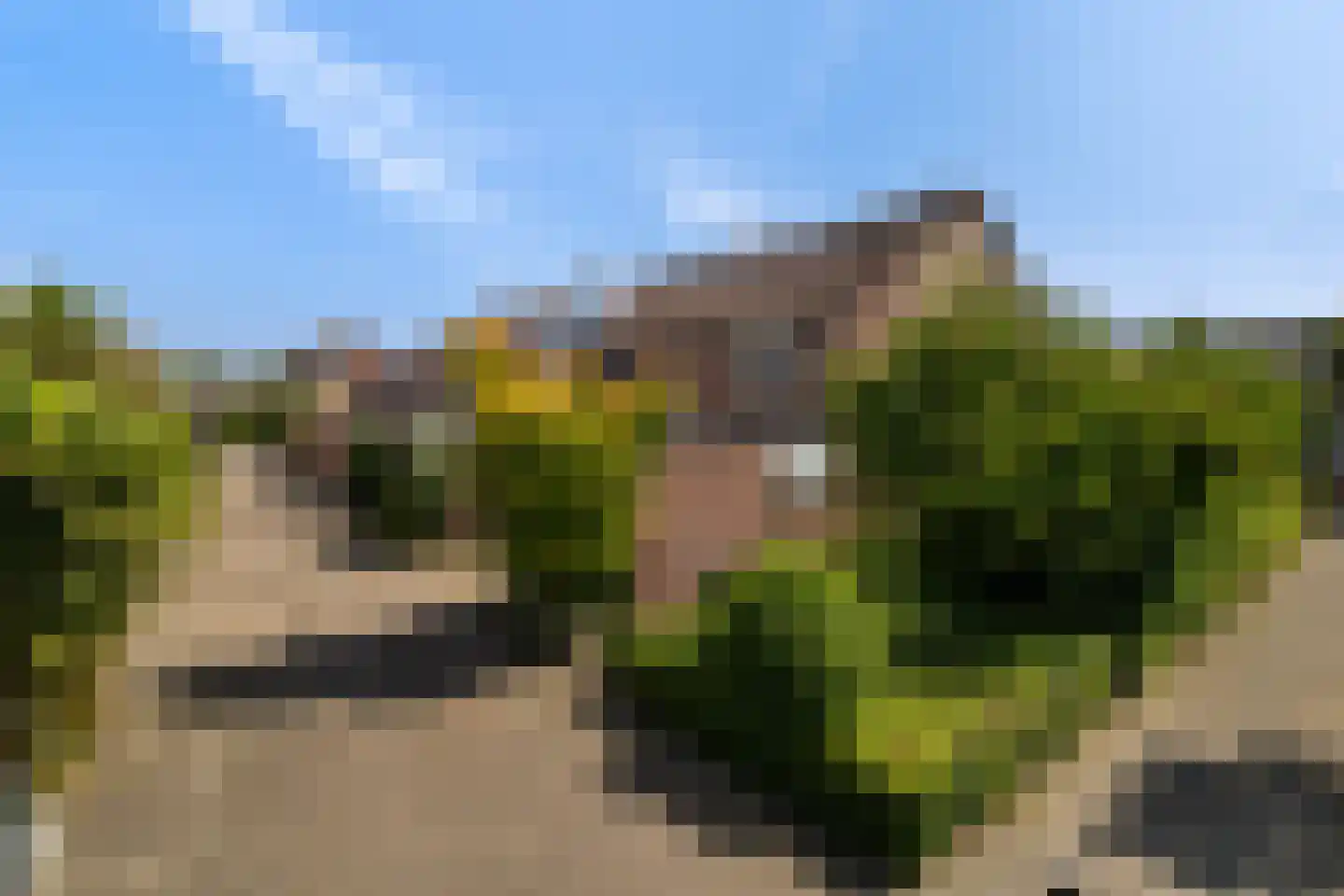 De blauwe Alicante 1 Wateringen thumbnail 41