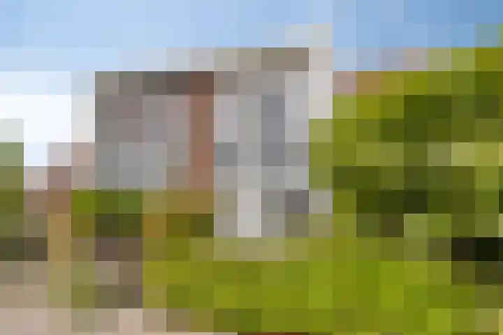 De Blauwe Lely 18 Hem thumbnail 7