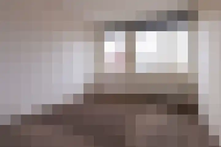 De Blauwe Lely 20 Hem thumbnail 20
