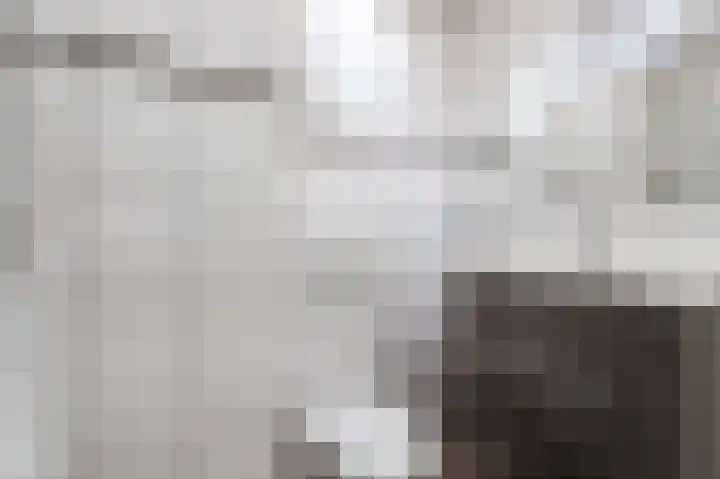 De Blauwe Lely 20 Hem thumbnail 24
