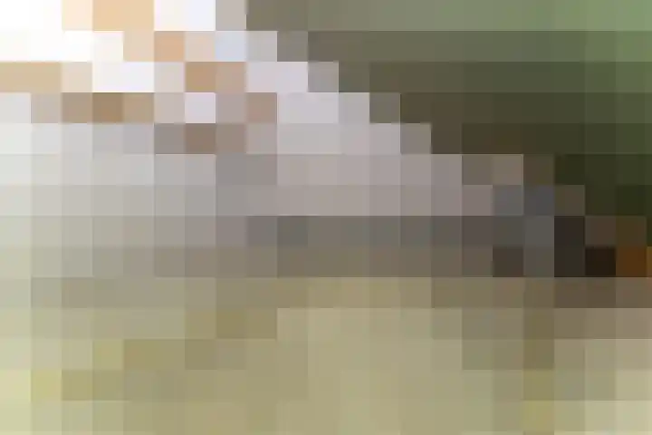De Blauwe Lely 20 Hem thumbnail 26