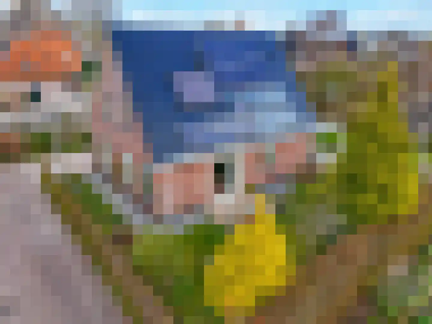 De Blauwe Lely 27 Hem thumbnail 47