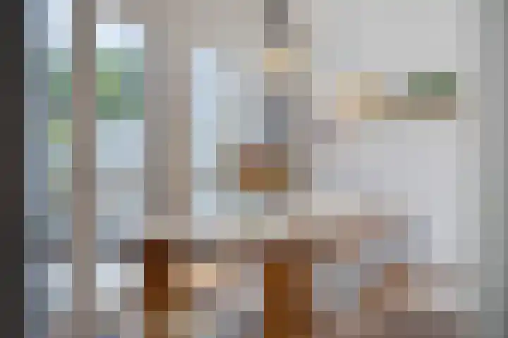 De Blauwe Oever 37 Rosmalen thumbnail 13