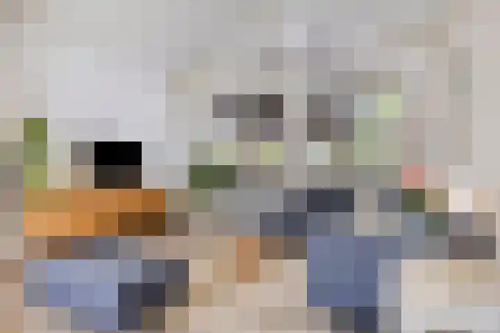 De Blauwe Oever 37 Rosmalen thumbnail 15