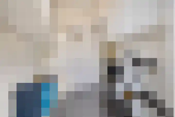 De Blauwe Oever 37 Rosmalen thumbnail 17