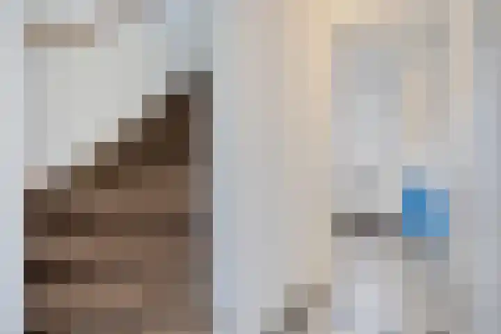 De Blauwe Oever 37 Rosmalen thumbnail 20