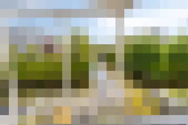 De Blauwe Oever 37 Rosmalen thumbnail 26