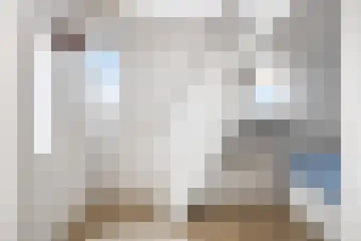 De Blauwe Oever 37 Rosmalen thumbnail 28
