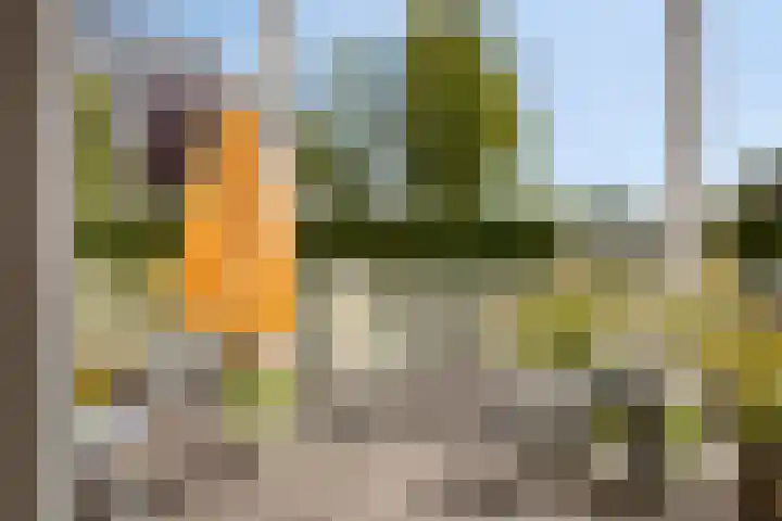 De Blauwe Oever 37 Rosmalen thumbnail 38