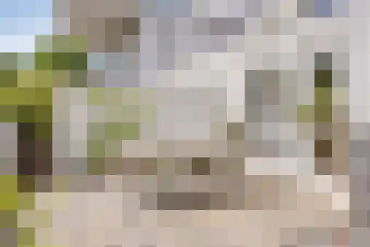 De Blauwe Oever 37 Rosmalen thumbnail 39