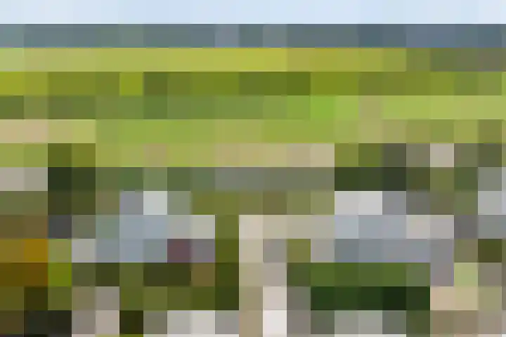 De Blauwe Oever 37 Rosmalen thumbnail 4
