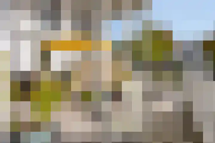 De Blauwe Oever 37 Rosmalen thumbnail 41