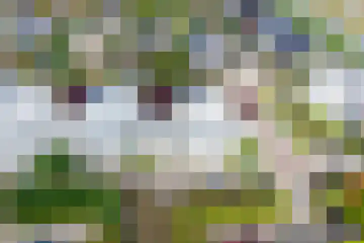 De Blauwe Oever 37 Rosmalen thumbnail 45