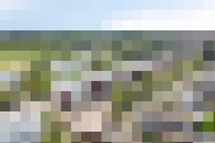 De Blauwe Oever 37 Rosmalen thumbnail 46
