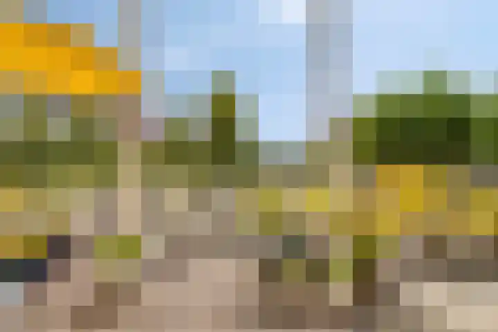 De Blauwe Oever 37 Rosmalen thumbnail 48