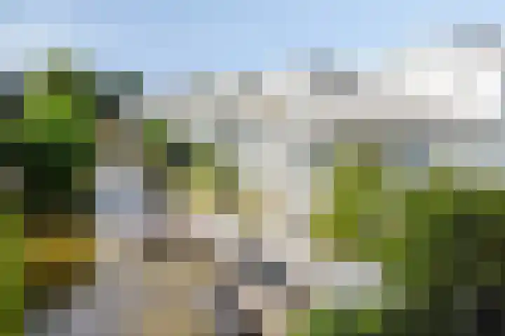 De Blauwe Oever 37 Rosmalen thumbnail 49