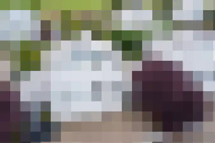 De Blauwe Oever 37 Rosmalen thumbnail 51