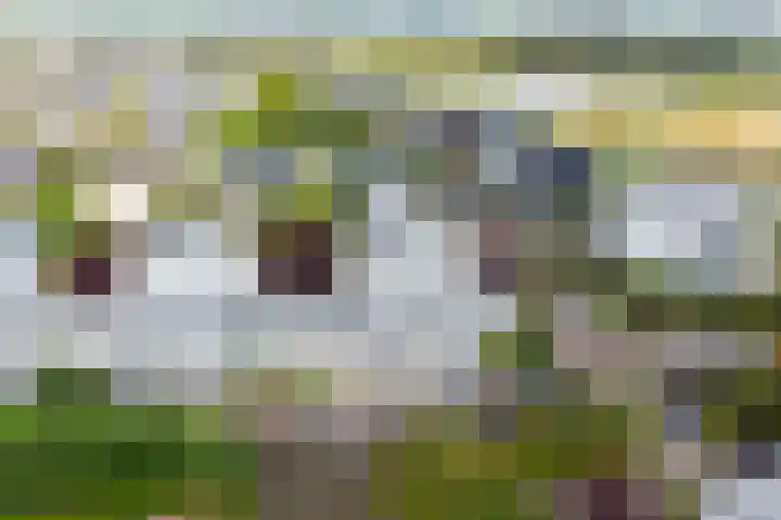 De Blauwe Oever 37 Rosmalen thumbnail 52