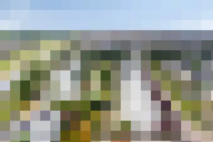 De Blauwe Oever 37 Rosmalen thumbnail 53