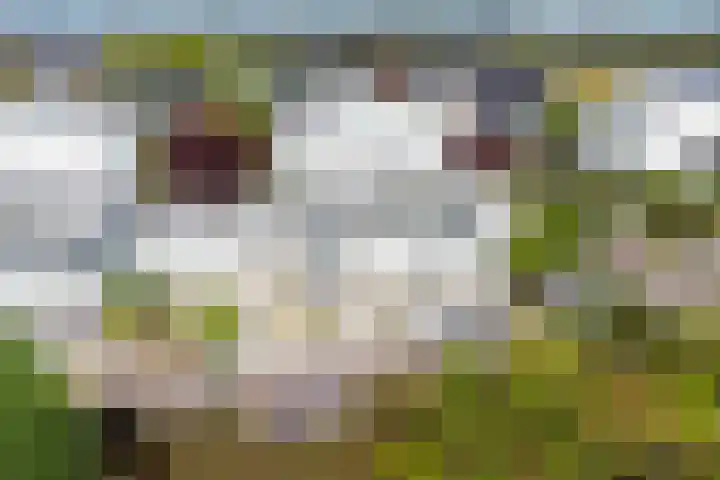 De Blauwe Oever 37 Rosmalen thumbnail 56