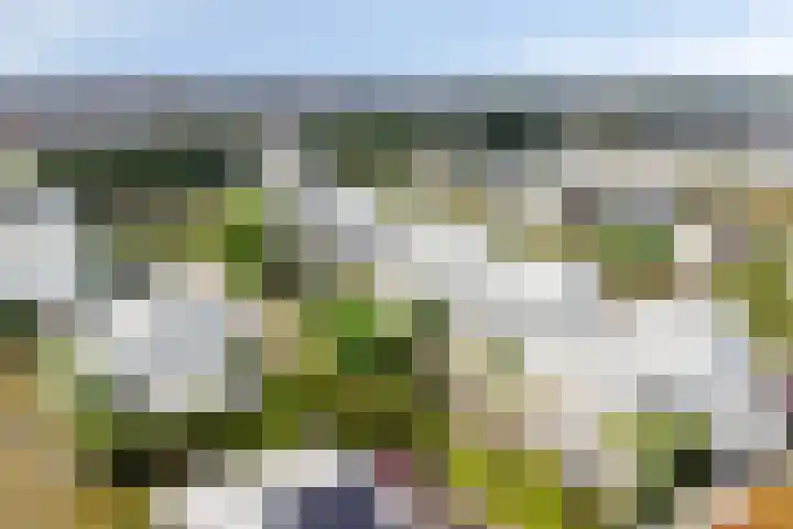 De Blauwe Oever 37 Rosmalen thumbnail 57