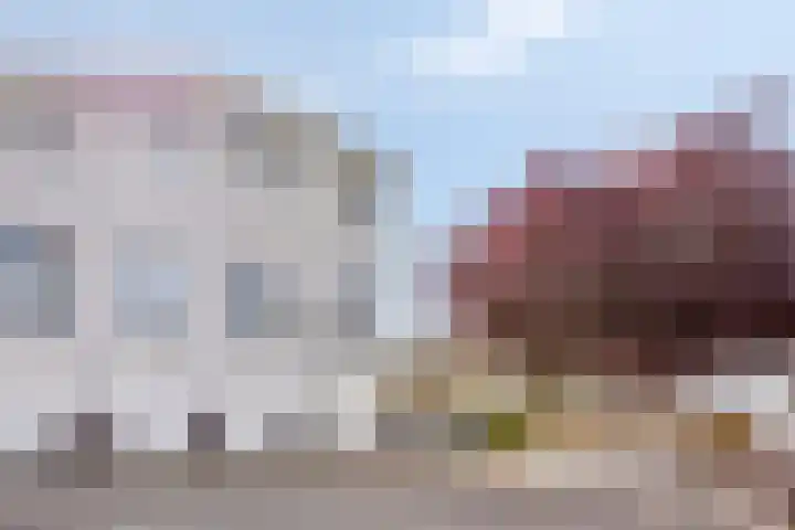 De Blauwe Oever 37 Rosmalen thumbnail 61