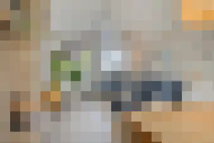 De Blauwe Oever 37 Rosmalen thumbnail 7