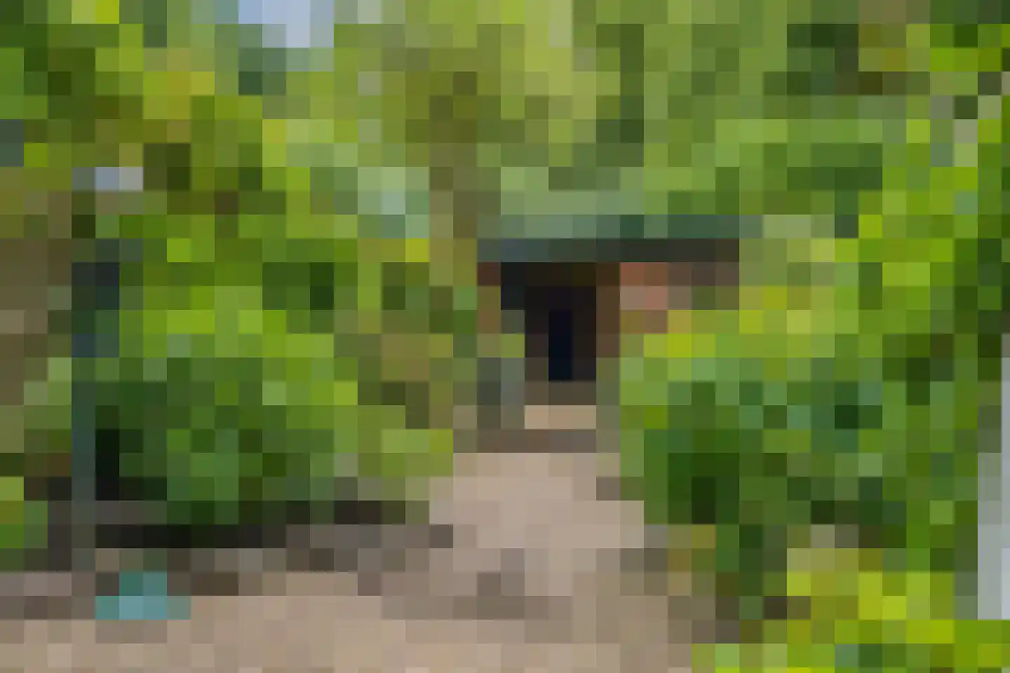 de Blauwe Wereld 23 Muiden thumbnail 21