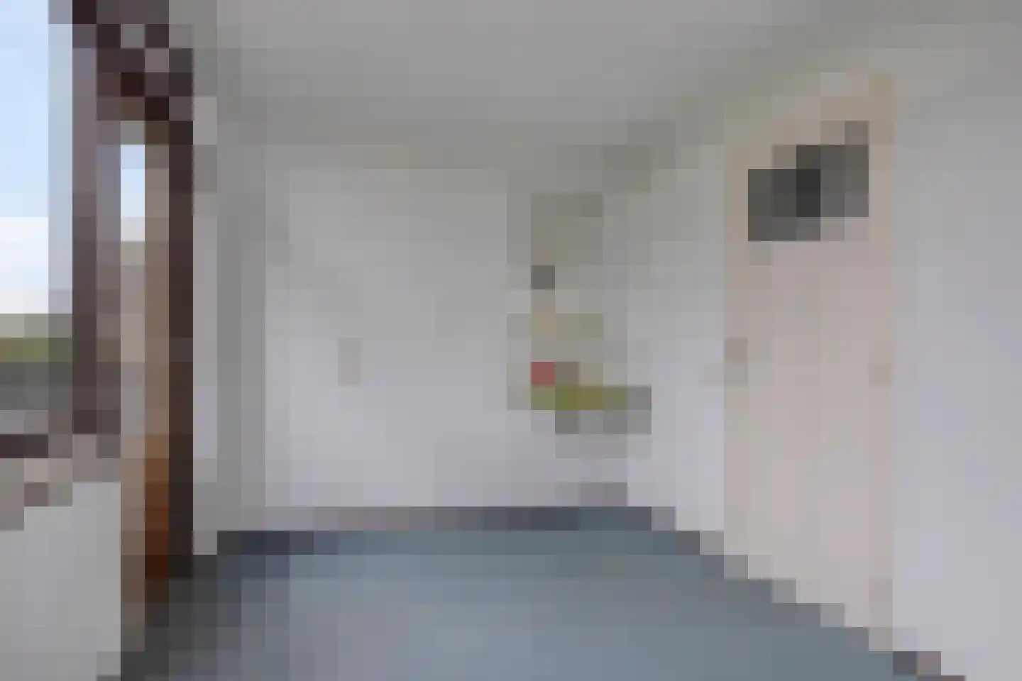 de Blauwe Wereld 55 Muiden thumbnail 34