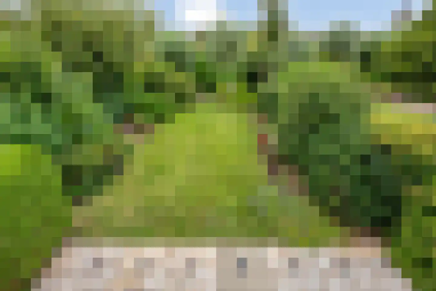 de Blauwe Wereld 55 Muiden thumbnail 37