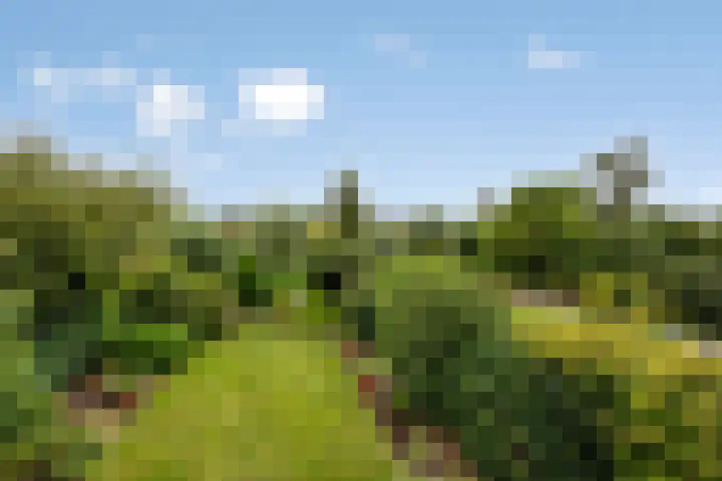 de Blauwe Wereld 55 Muiden thumbnail 38