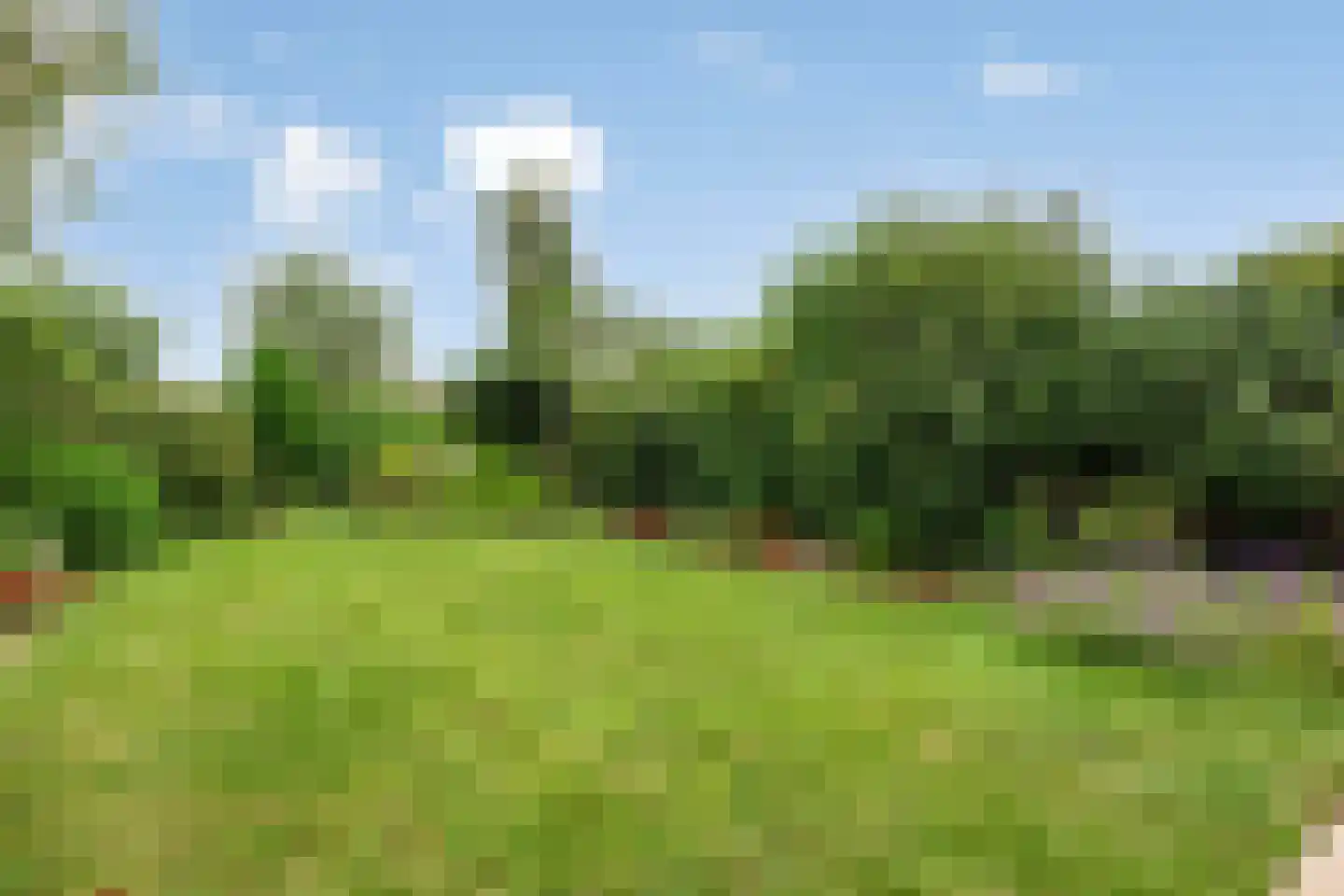 de Blauwe Wereld 55 Muiden thumbnail 4