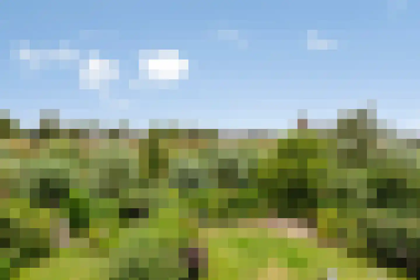 de Blauwe Wereld 55 Muiden thumbnail 42