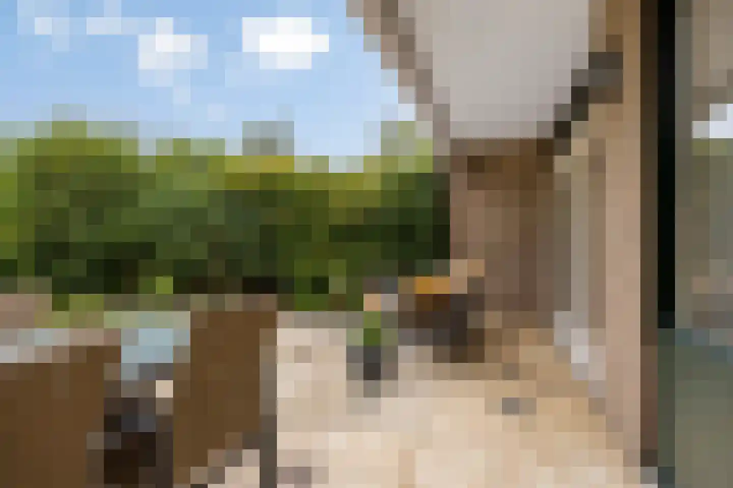 de Blauwe Wereld 55 Muiden thumbnail 46