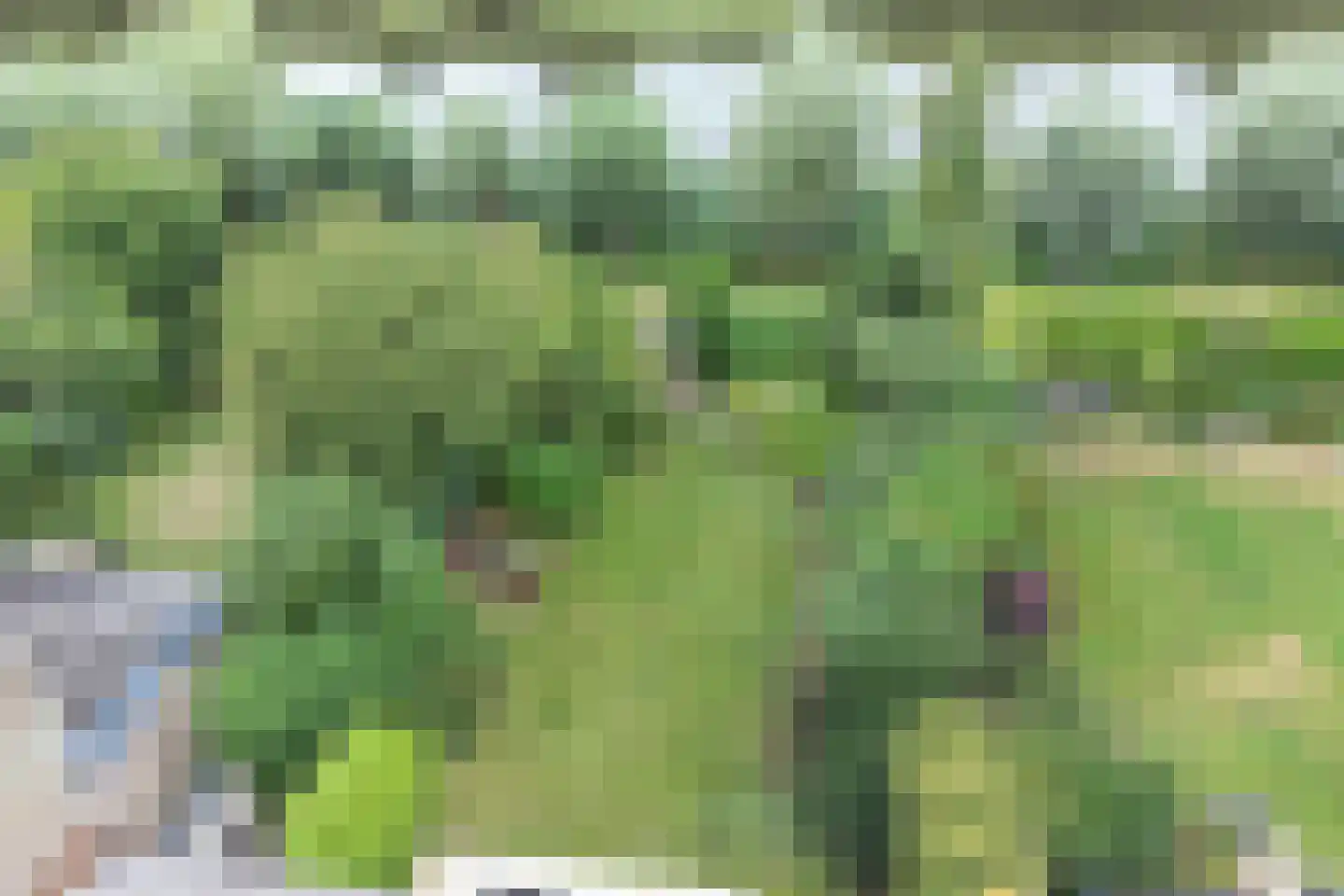 de Blauwe Wereld 55 Muiden thumbnail 61