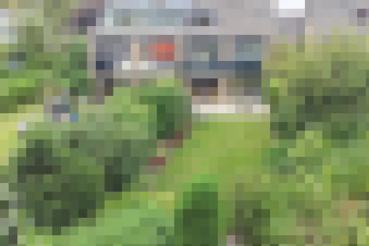 de Blauwe Wereld 55 Muiden thumbnail 62